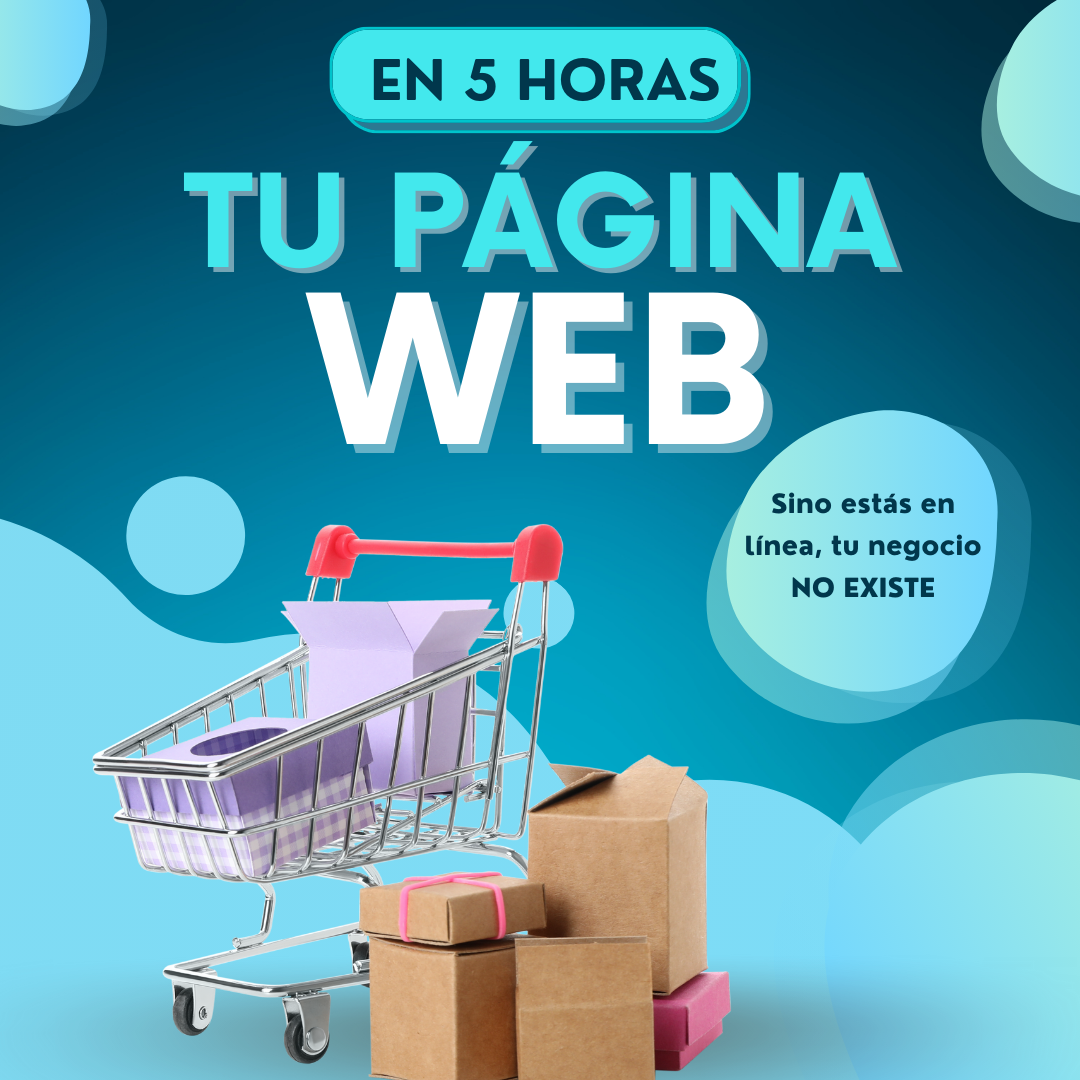 2 paginas web